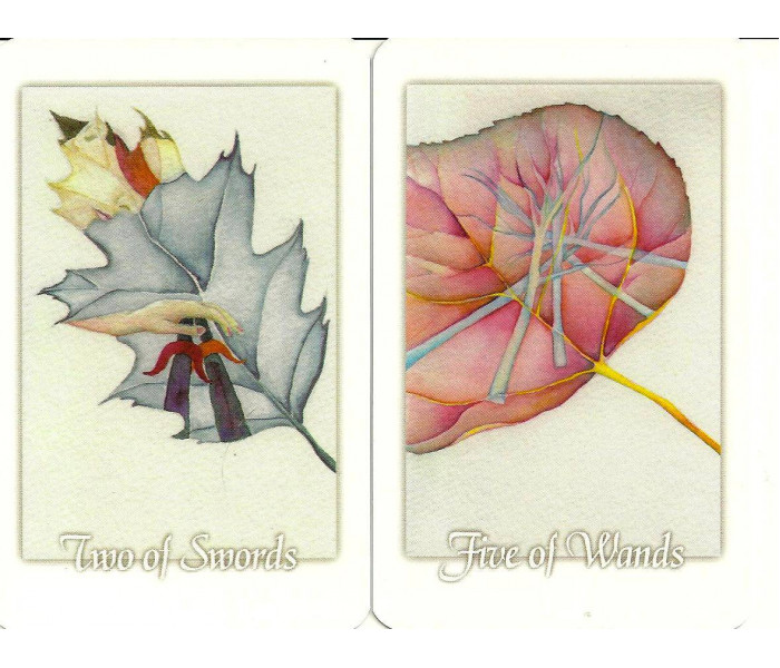 Таро Листьев - Tarot Leaves. Schiffer Publishing