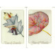 Таро Листьев - Tarot Leaves. Schiffer Publishing