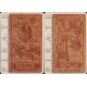 Таро Піратів - Pirate Tarot. Schiffer Publishing