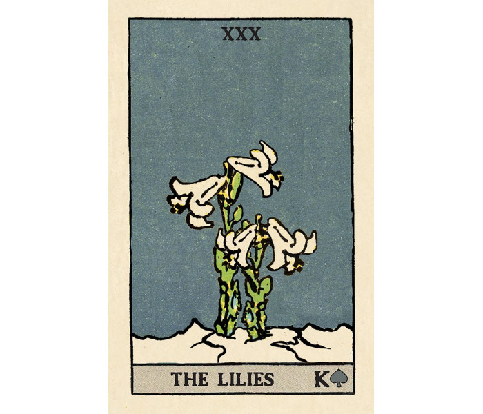 Оракул Ленорман Піксі - Pixie’s Astounding Lenormand. US Games Systems