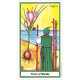 Таро Трав (Рослин, Трав’яне, Квіткове) - Herbal Tarot. US Games Systems