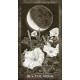 Таро Елементів Нової Ери - New Era Elements Tarot. US Games Systems