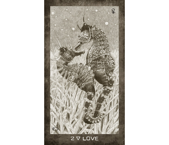 Таро Елементів Нової Ери - New Era Elements Tarot. US Games Systems