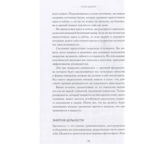 Книга Сила Шакти. Единение женской и мужской энергии в бизнесе. Нилима Бхат и Радж Сисодиа 