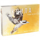 Крила. Птахи Океанії. Доповнення УКР (Wingspan: Oceania Expansion). Stonemaier Games (STM903) (62832)