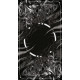 Гоетія.Темне Таро - Goetia Tarot in Darkness. Lo Scarabeo