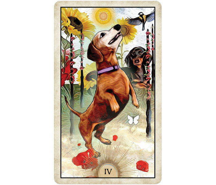 Таро Мудрой Собаки - Wise Dog Tarot. U.S. Games Systems