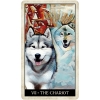 Фото 4 - Таро Мудрого Собаки - Wise Dog Tarot. US Games Systems