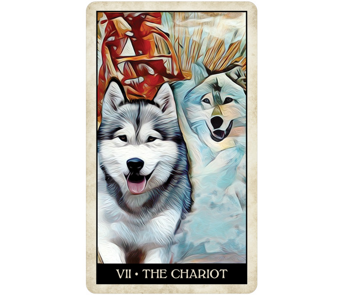 Таро Мудрой Собаки - Wise Dog Tarot. U.S. Games Systems
