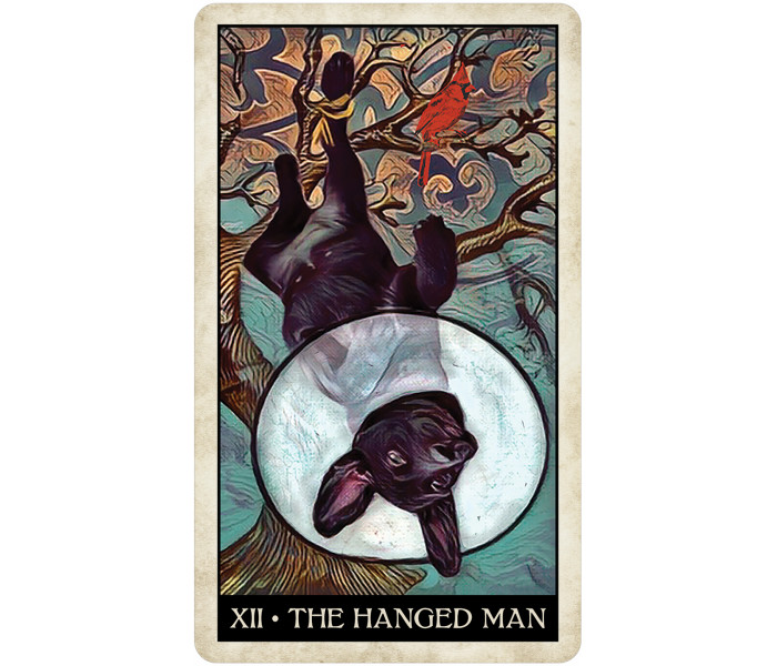 Таро Мудрой Собаки - Wise Dog Tarot. U.S. Games Systems