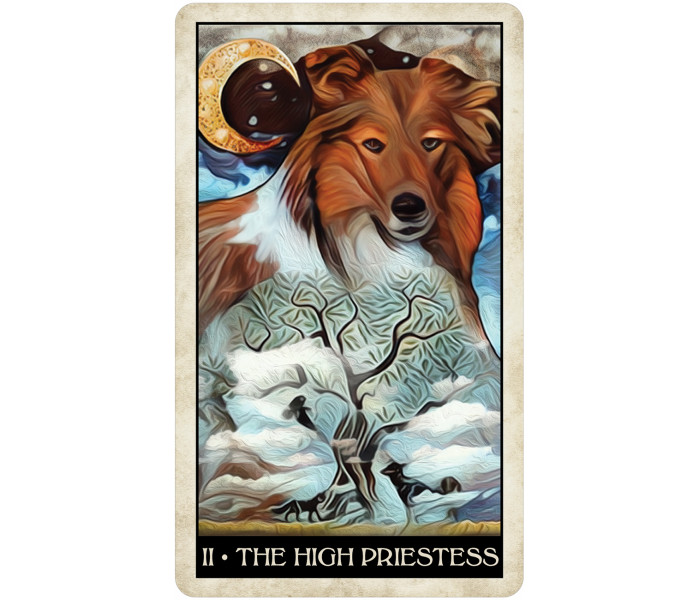Таро Мудрой Собаки - Wise Dog Tarot. U.S. Games Systems