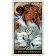 Таро Мудрой Собаки - Wise Dog Tarot. U.S. Games Systems