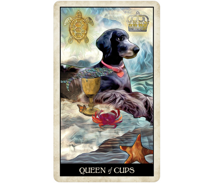 Таро Мудрой Собаки - Wise Dog Tarot. U.S. Games Systems