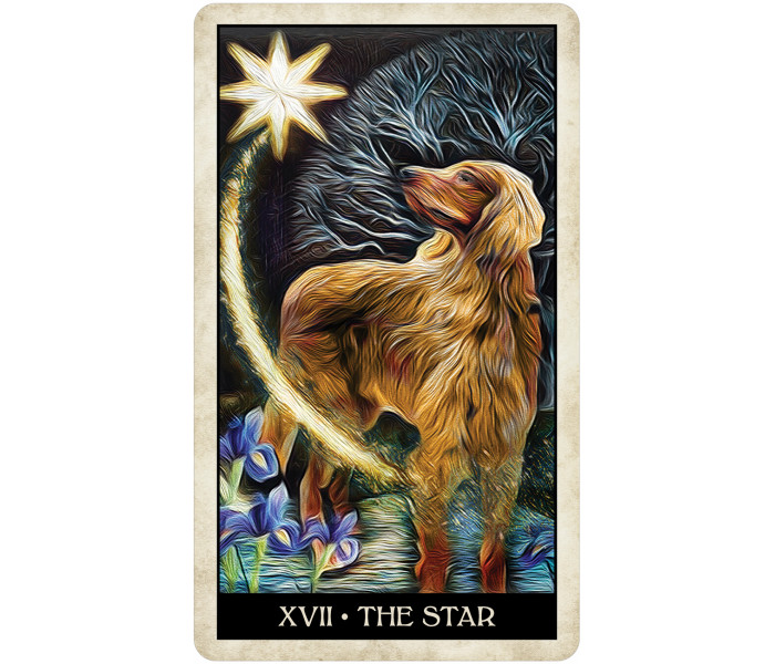 Таро Мудрой Собаки - Wise Dog Tarot. U.S. Games Systems