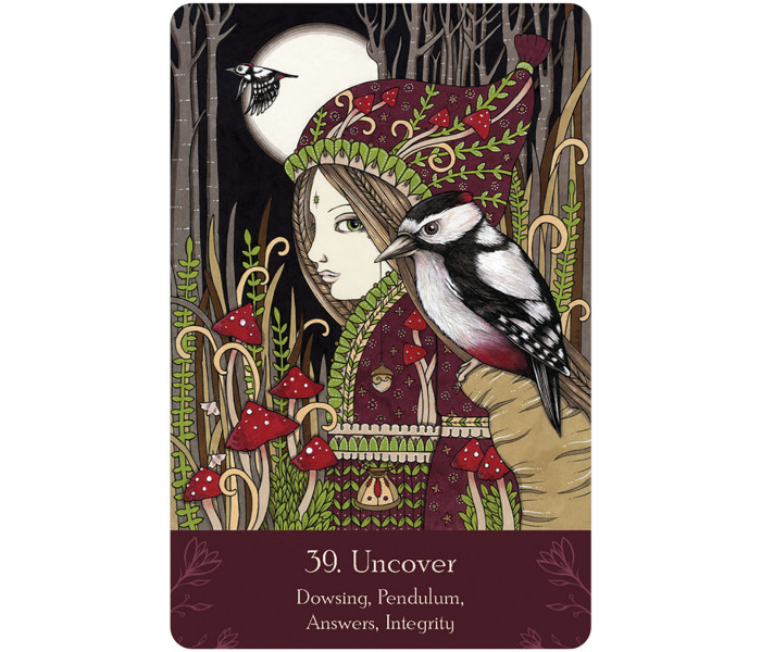 Універсальний Народний Оракул - Universal Folk Oracle. US Games Systems