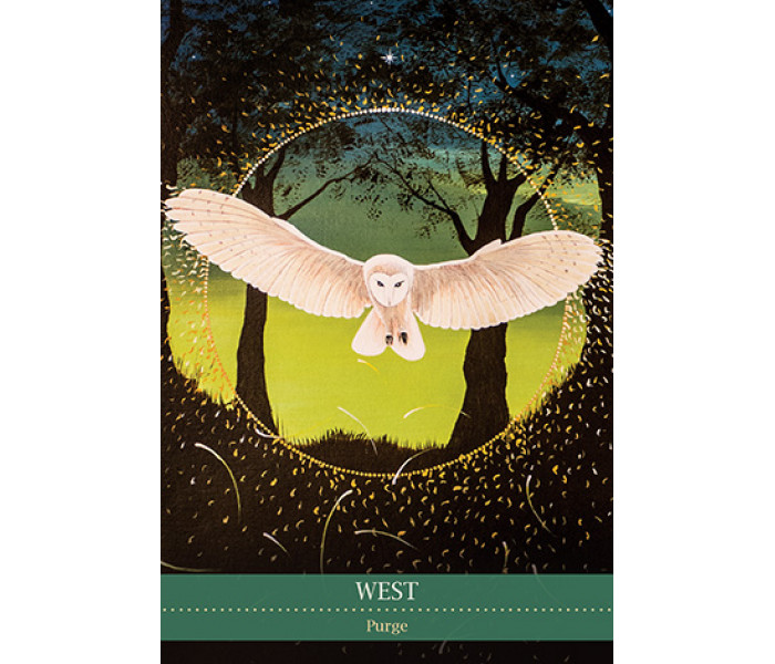 Оракул Медицини Шаманів - Shamanic Medicine Oracle Cards. Blue Angel