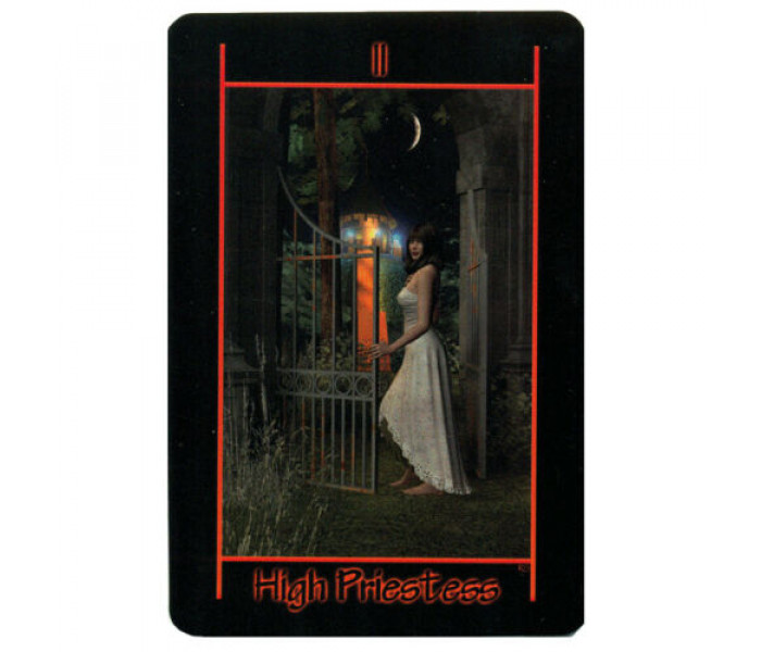 Таро Ночі - Tarot of the Night. Schiffer Publishing