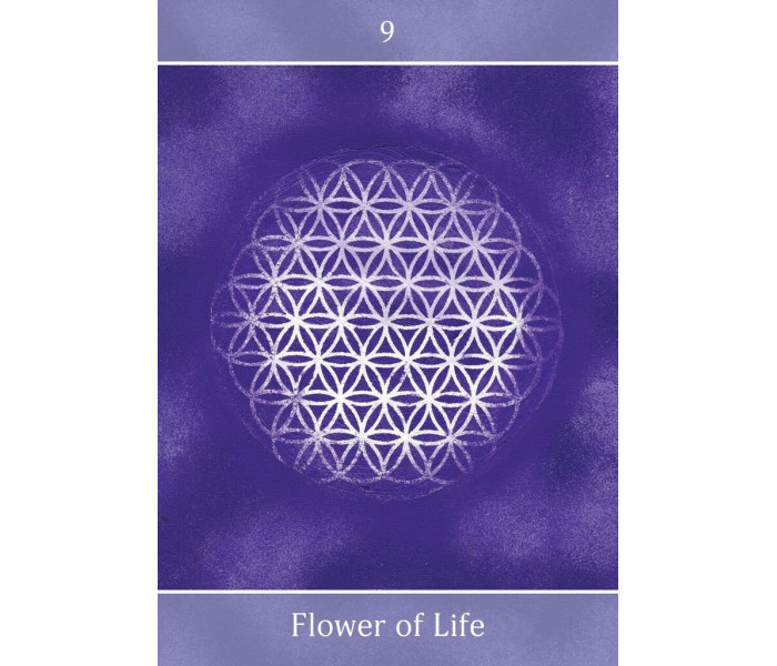 Оракул За межею ілюзій - Beyond the Illusions Oracle Cards. Animal Dreaming