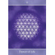 Оракул За межею ілюзій - Beyond the Illusions Oracle Cards. Animal Dreaming