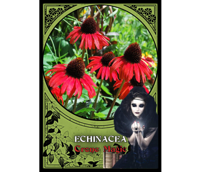 Оракул Цветочной Магии - Flower Magic Oracle Cards . Solarus 