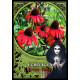 Оракул Цветочной Магии - Flower Magic Oracle Cards . Solarus 