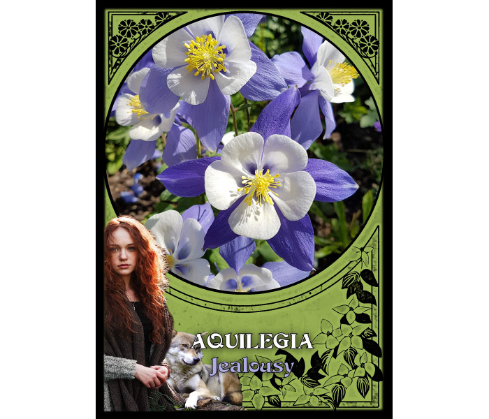 Оракул Цветочной Магии - Flower Magic Oracle Cards . Solarus 