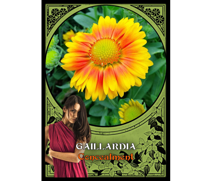 Оракул Цветочной Магии - Flower Magic Oracle Cards . Solarus 