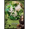 Фото 5 - Оракул Квіткової Магії - Flower Magic Oracle Cards. Solarus