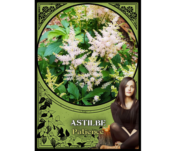Оракул Цветочной Магии - Flower Magic Oracle Cards . Solarus 