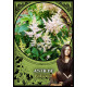 Оракул Цветочной Магии - Flower Magic Oracle Cards . Solarus 