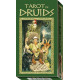 Таро Друїдів - Tarot of Druids. Lo Scarabeo