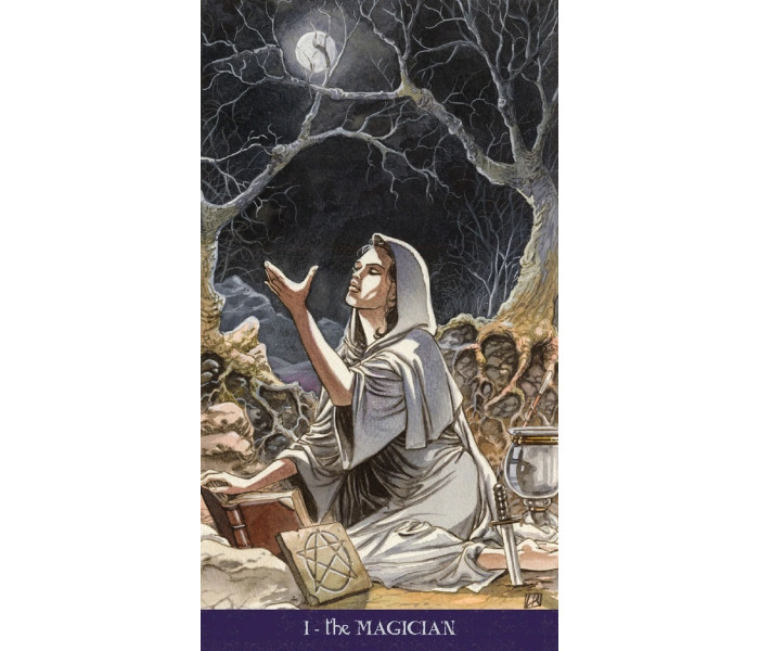 Набор Языческого Таро - Pagan Tarot Kit. Lo Scarabeo