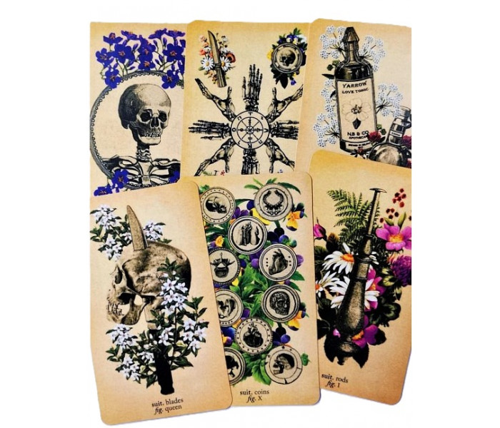 Таро Античной Анатомии - Antique Anatomy Tarot. MyTarot