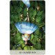 Таро Мистических Моментов - Tarot of Mystical Moments. U.S. Games Systems