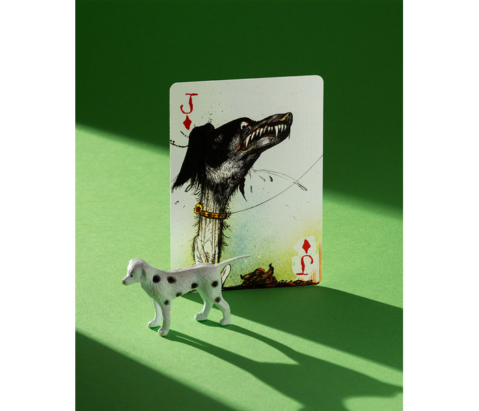 Игральные карты Flying Dog, Edition 2 от Art of Play