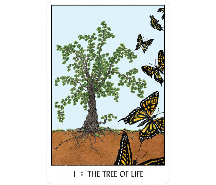 Оракул Деревьев - Oracle of the Trees. U.S. Games System