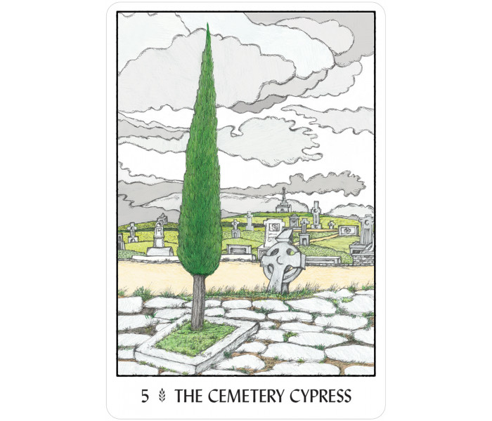 Оракул Деревьев - Oracle of the Trees. U.S. Games System