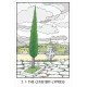 Оракул Деревьев - Oracle of the Trees. U.S. Games System