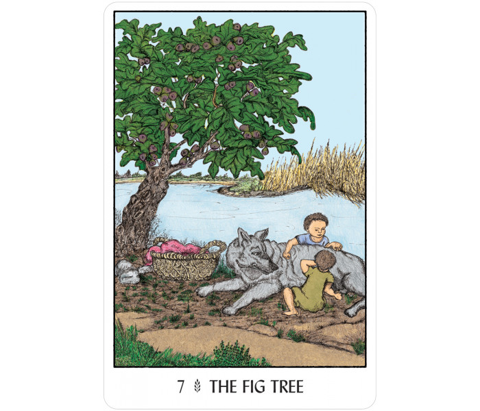Оракул Деревьев - Oracle of the Trees. U.S. Games System