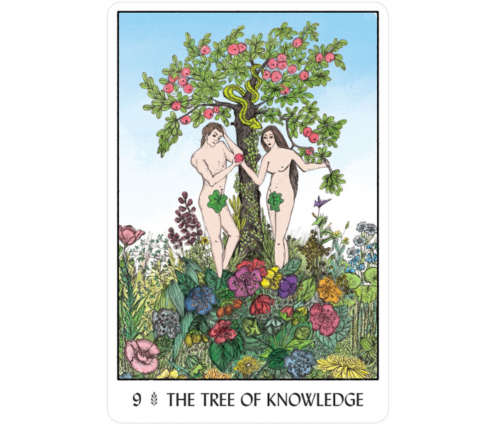 Оракул Деревьев - Oracle of the Trees. U.S. Games System
