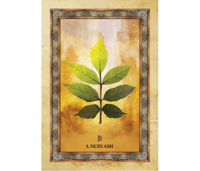 Оракул Кельтского Дерева - Celtic Tree Oracle. Blue Angel