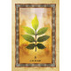 Оракул Кельтского Дерева - Celtic Tree Oracle. Blue Angel