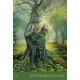 Оракул Шепот природы - Natures Whispers Oracle Cards. Blue Angel