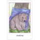 Оракул Высшие Интуиции - Higher Intuitions Oracle. Schiffer Publishing