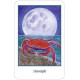 Оракул Высшие Интуиции - Higher Intuitions Oracle. Schiffer Publishing