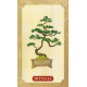 Оракул Древо Життя - Tree of Life Oracle. Schiffer Publishing
