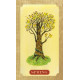 Оракул Древо Життя - Tree of Life Oracle. Schiffer Publishing