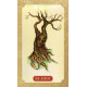 Оракул Древо Життя - Tree of Life Oracle. Schiffer Publishing
