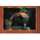 Оракул Резонанс - Resonance Oracle Cards. Schiffer Publishing
