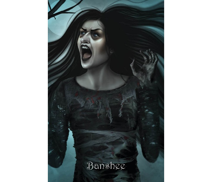 Оракул Відьми 2-е видання - The Witchs Oracle, 2nd Edition. Schiffer Publishing